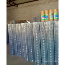 Hot Dipped Galvanized Welded Wire Mesh